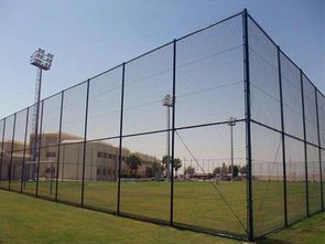 學(xué)校球場(chǎng)圍欄網(wǎng)與鋼結(jié)構(gòu)網(wǎng)架 安全防護(hù)與空間優(yōu)化的綜合解決方案